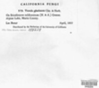 Image Associated With the Occurence